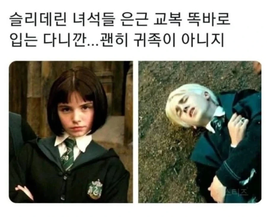 해리포터) TS말포이 중요해석_1.webp