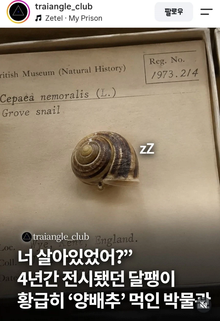 4년간 납치 감금 전시했는데 살아있었던 사건_1.webp