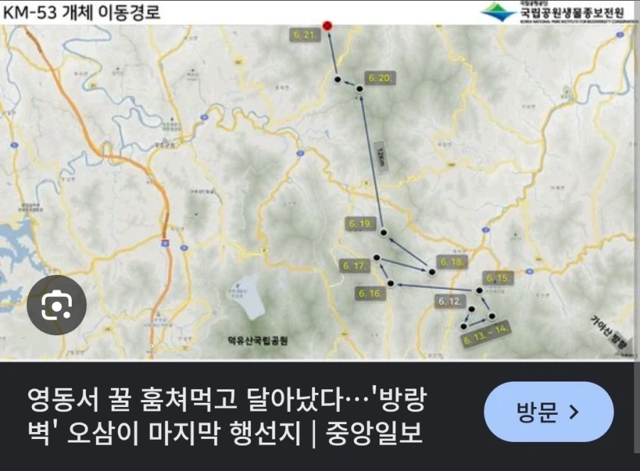 늑구 상구 이전 오삼이.jpg_2.webp