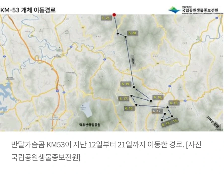 늑구 상구 이전 오삼이.jpg_3.webp