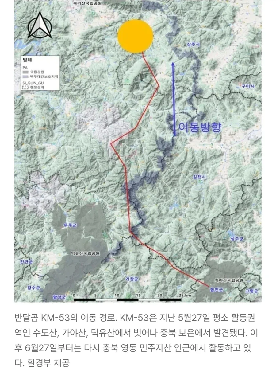 늑구 상구 이전 오삼이.jpg_4.webp