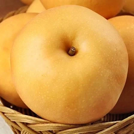 이상하게 서양에서 맛있는거 찾기 힘든 과일.JPG_2.webp
