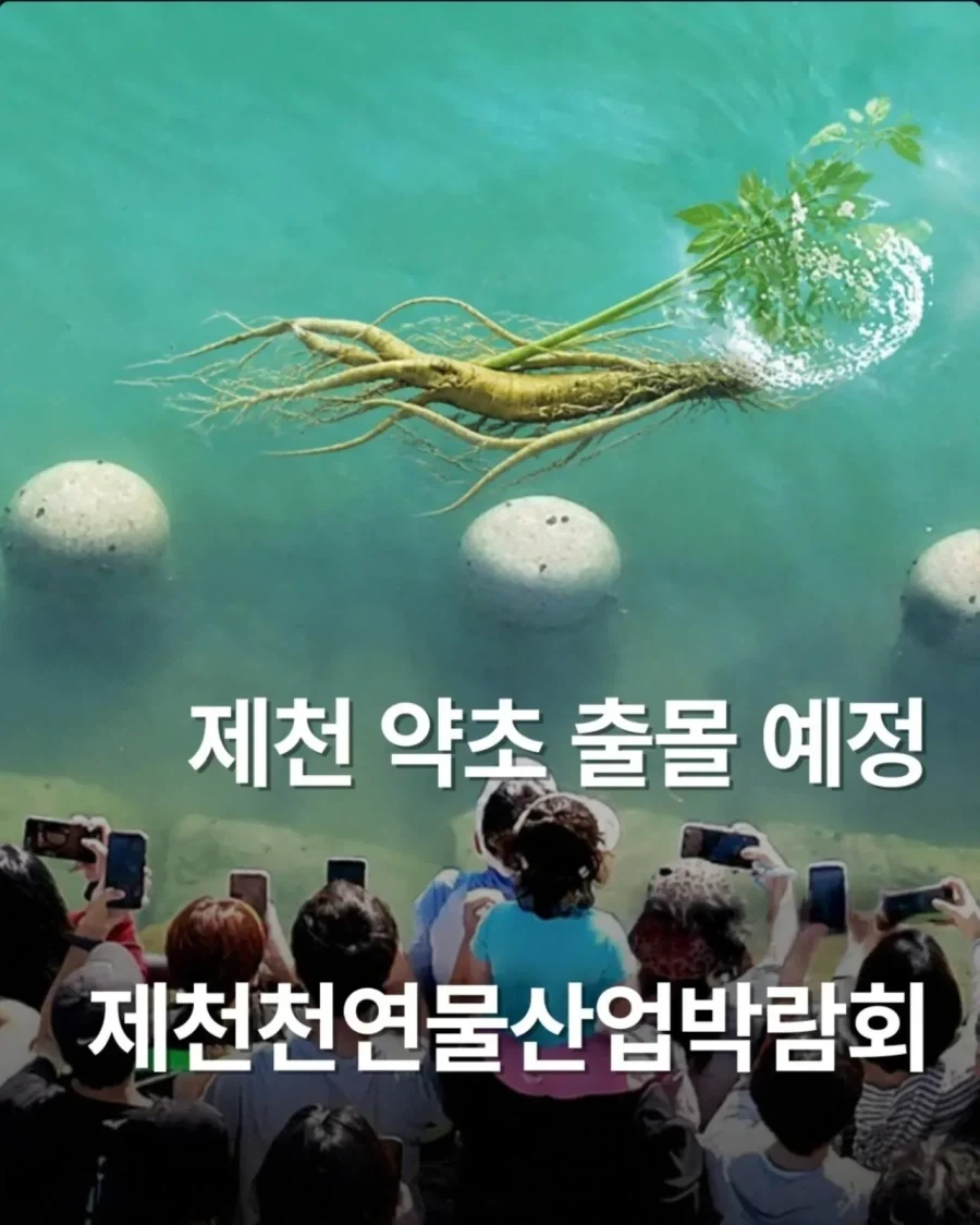 상어가 없었던 충북 제천시_1.webp