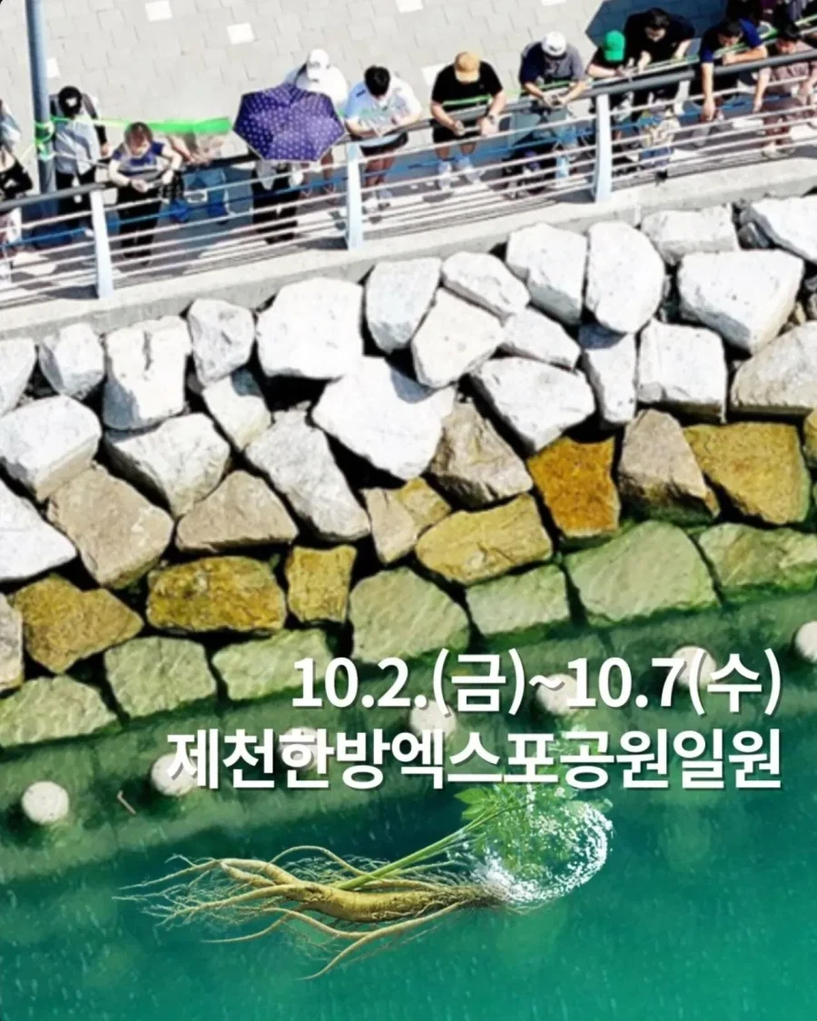 상어가 없었던 충북 제천시_2.webp