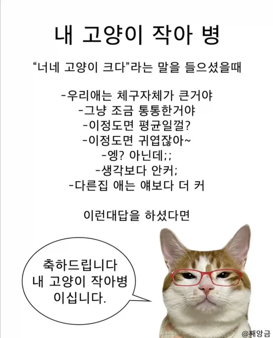 고양이 집사들이 많이 걸린다는 내 고양이 작아병_1.webp