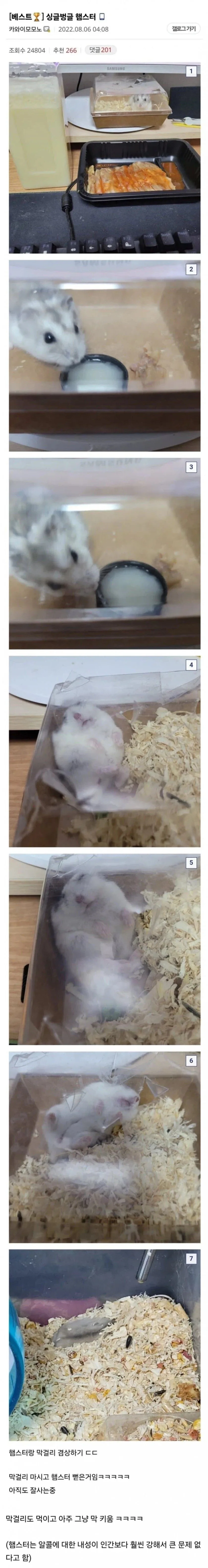 햄스터에게 백탁액 먹임....._1.webp