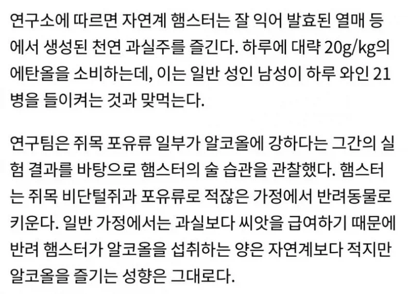 햄스터에게 백탁액 먹임....._2.webp