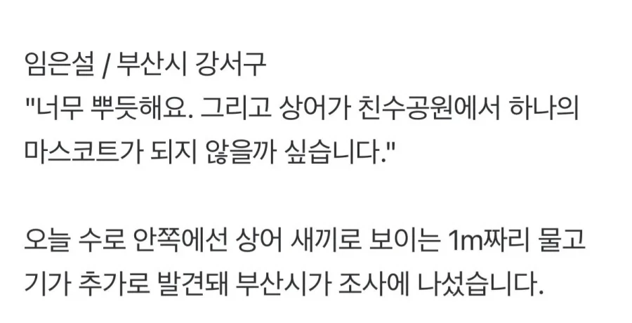 부산 상어 출몰이 장기화 될거같은 이유_1.webp