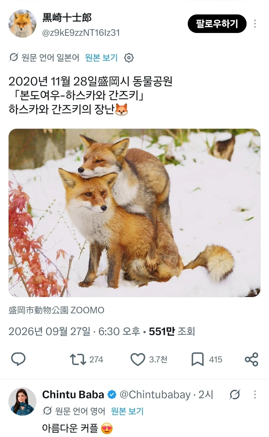 여우 특_1.webp