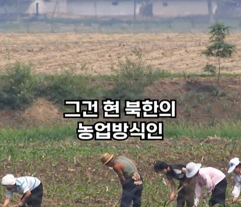 북한의 과학자가 탈북한 이유.jpg_10.webp