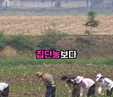 북한의 과학자가 탈북한 이유.jpg_11.webp
