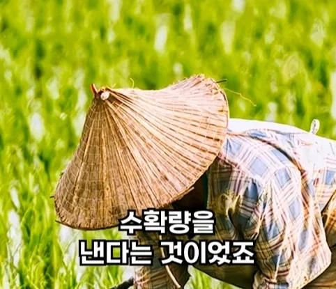 북한의 과학자가 탈북한 이유.jpg_13.webp