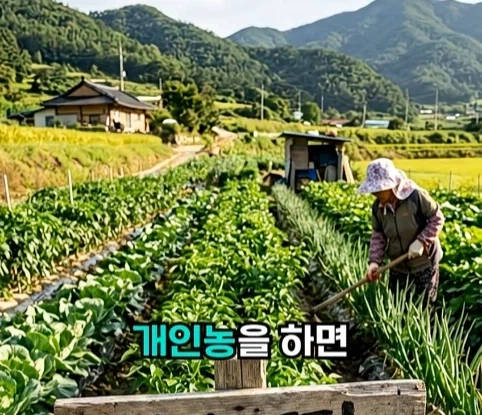 북한의 과학자가 탈북한 이유.jpg_18.webp