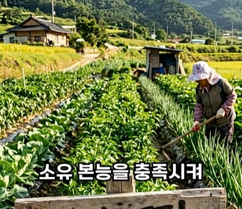 북한의 과학자가 탈북한 이유.jpg_19.webp
