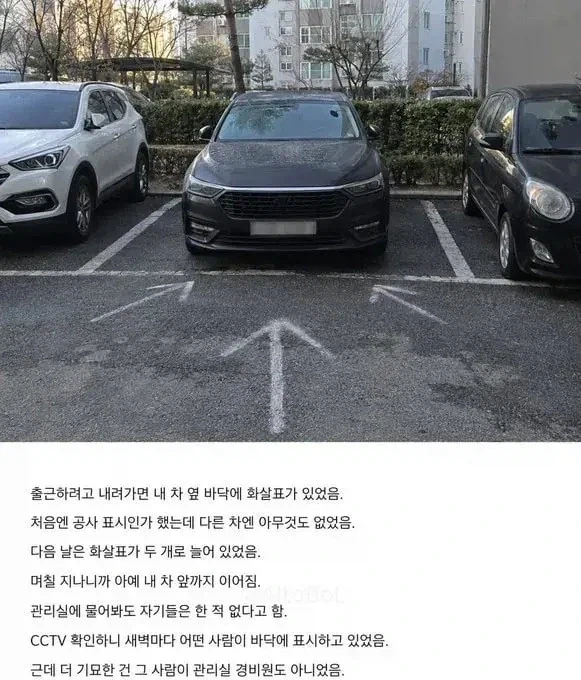 아파트 주차한 차앞에 누가 매일 분필로 화살표 그려놓음..._1.webp