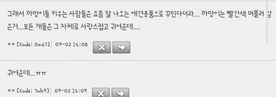 검은 개가 분양 인기가 제일 없다니 속상함 ㅜㅜㅜ_2.webp