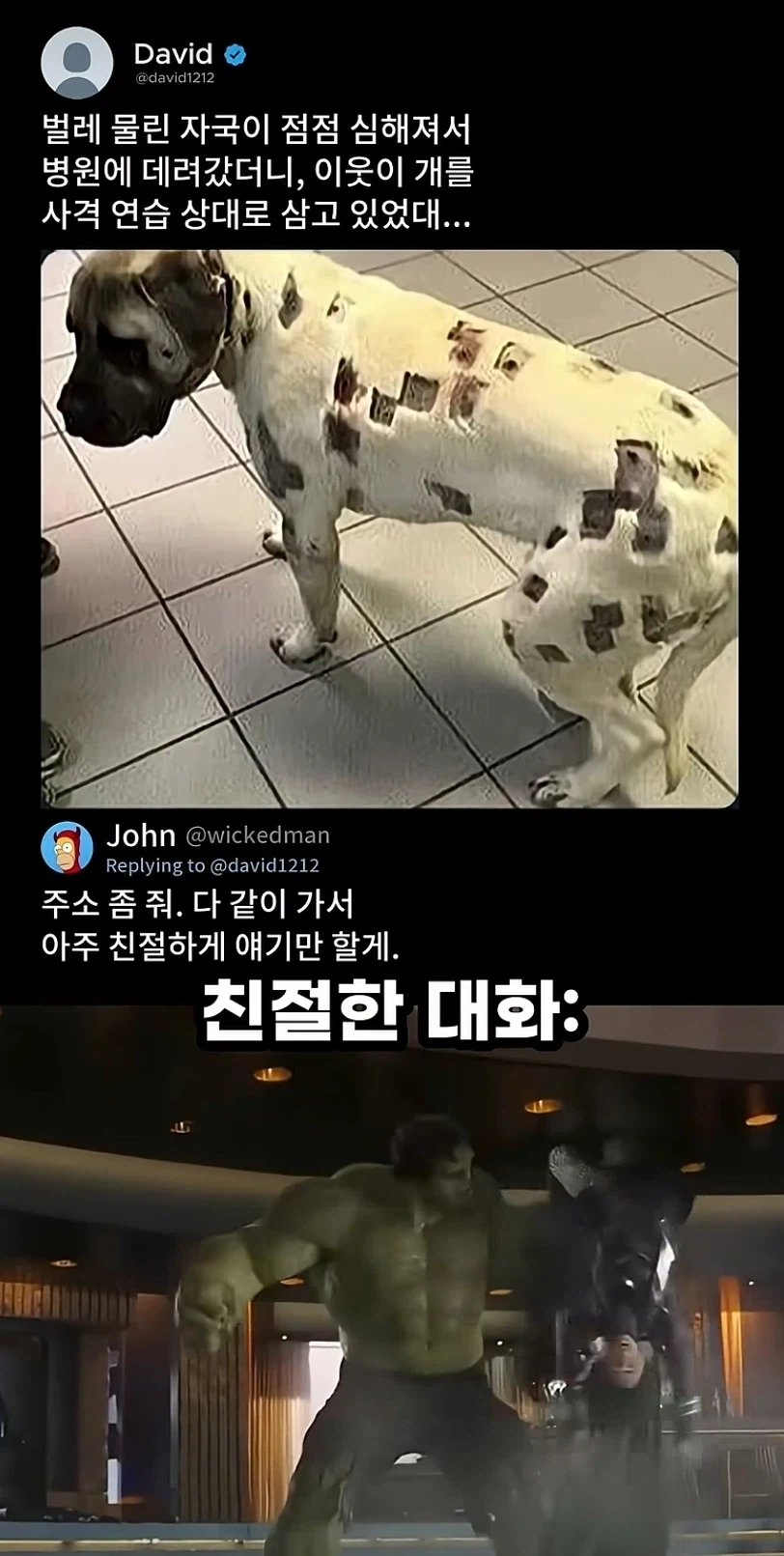 친절한 대화가 필요한 순간_1.webp