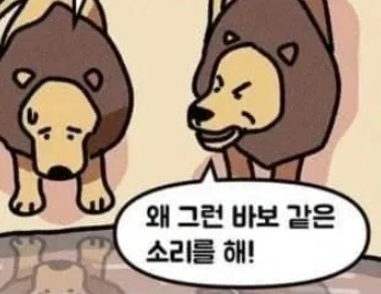 용감한 아빠사자_6.webp