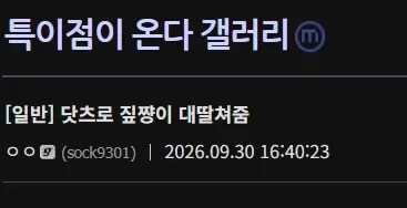 GPT 신규서비스 dots로 딸친새끼 등장_1.webp