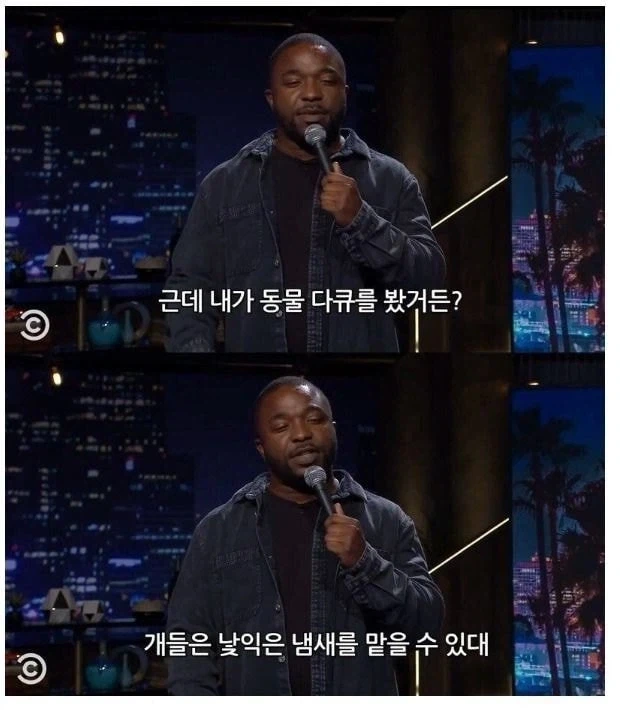 개를 잃어버린 사람을 안 도와주는 이유_4.webp