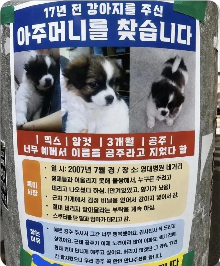 극과극인 공주 찾는 전단지_2.webp