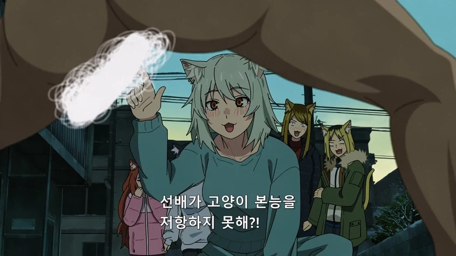 충격적인 어떤 남자가 경찰에 체포된 이유.jpg_65.webp