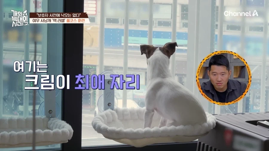 강형욱도 모르는 반려견 제품_3.webp