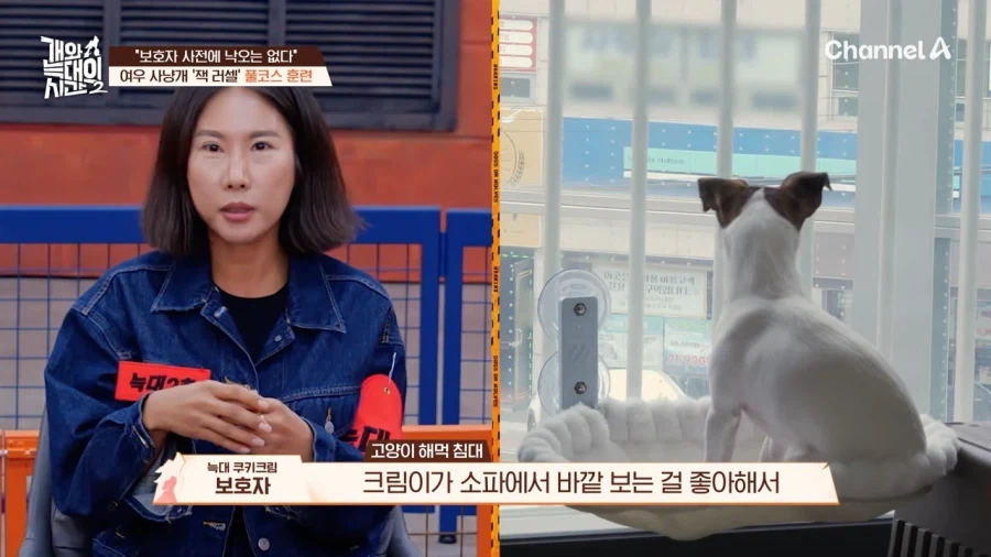 강형욱도 모르는 반려견 제품_5.webp