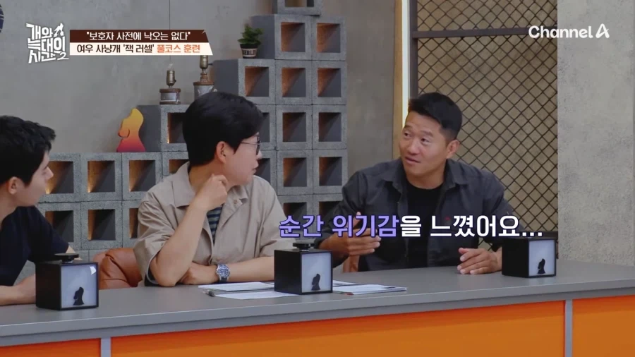 강형욱도 모르는 반려견 제품_7.webp