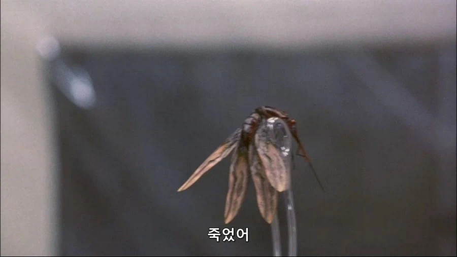 엉덩이속에 벌레간 들어간 남자_31.webp
