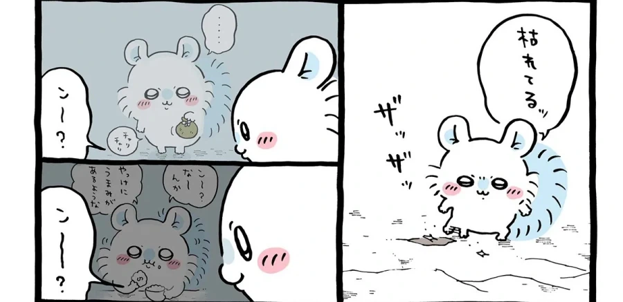 치이카와) 모몽가를 본 대부분의 사람들이 받는 반응과 모몽가의 진실_8.webp