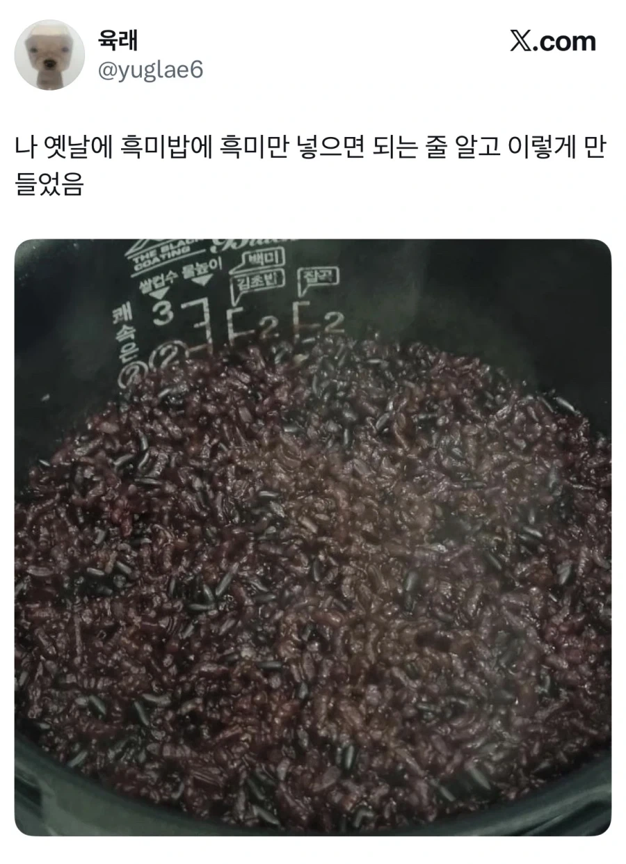 흑미밥 지어먹음.jpg_1.webp
