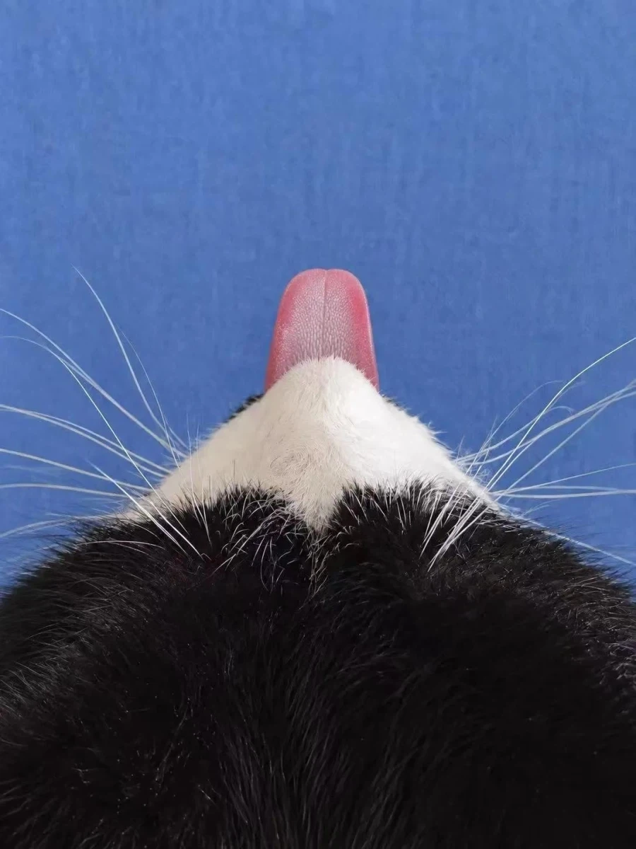 후지산 대폭발_2.webp