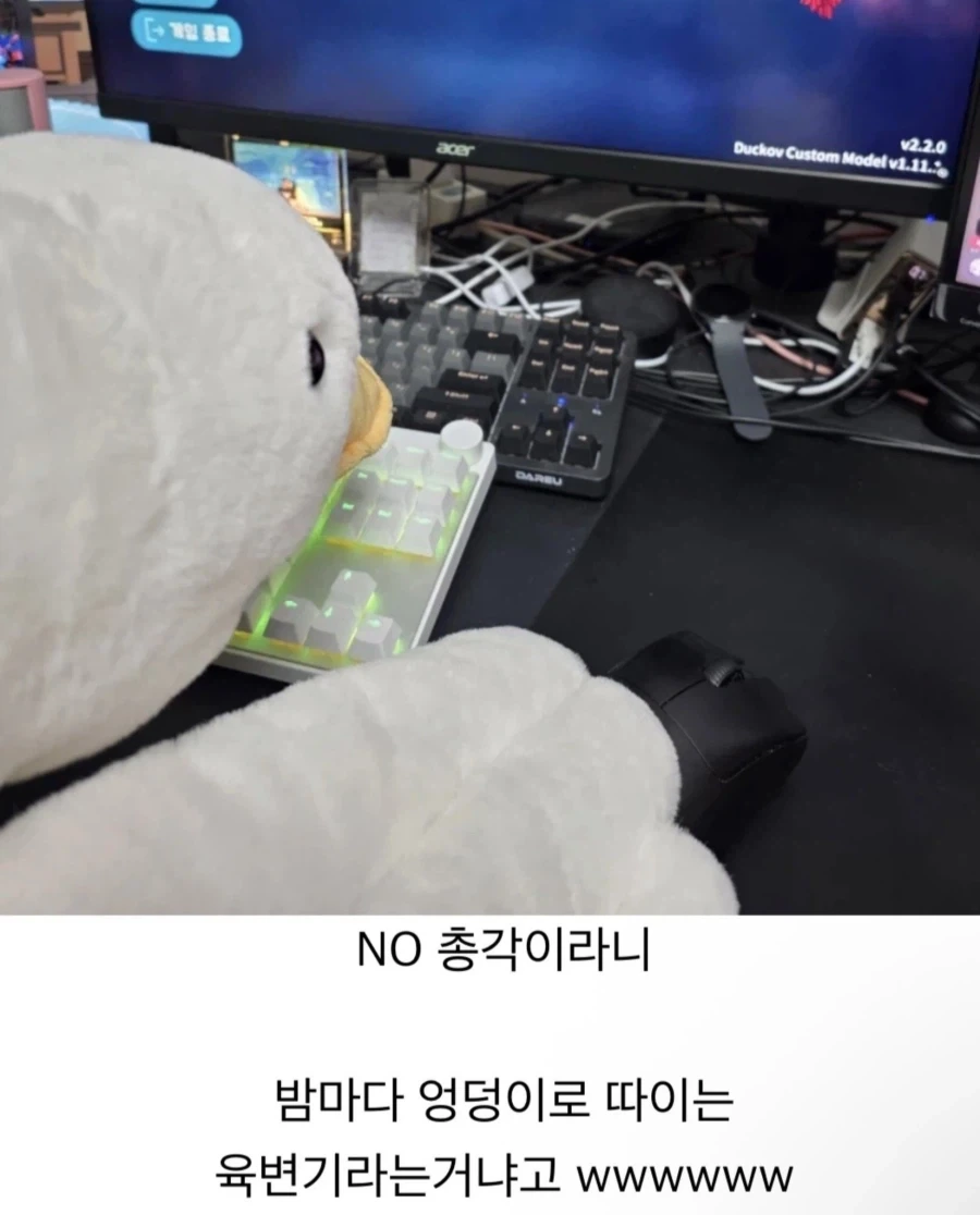 전 노총각입니다._1.webp