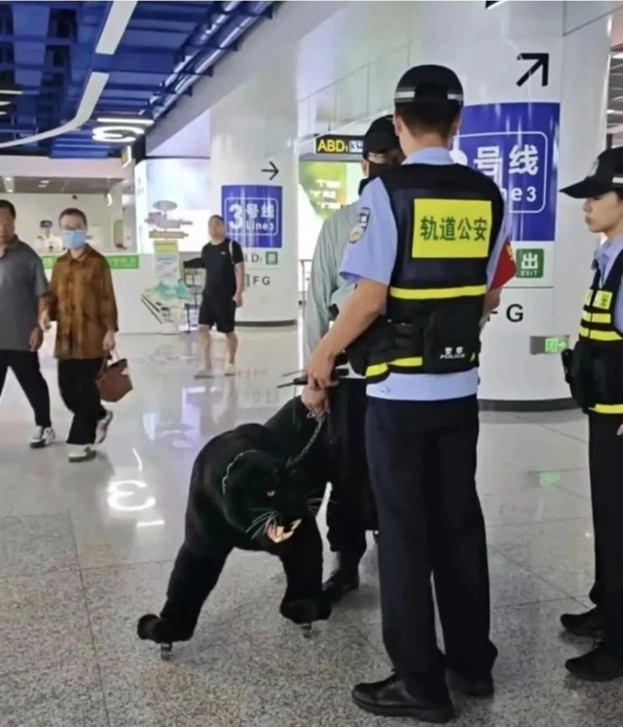 캐리어 때문에 공안이 출동한 사건_1.webp
