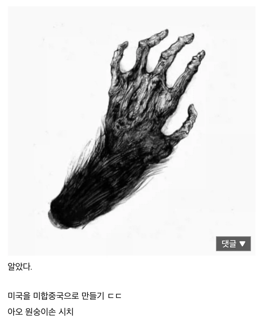 “중국이 여러개였으면 좋겠어요!”.jpg_1.webp