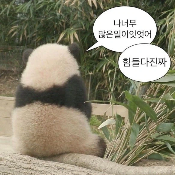 (나히아) 하루만에 이 모든 일이 일어났다._9.webp