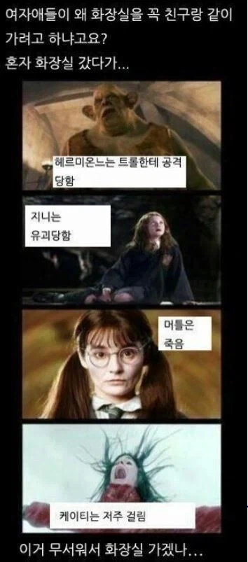 해리포터)여자 화장실갈때 친구와 같이가는 이유_1.webp