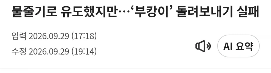 부캉이 내보내면 안 되는 이유_3.webp