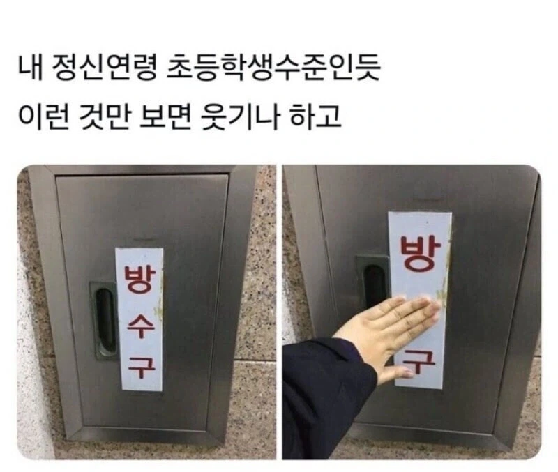 내 정신연령 초등학생 수준인듯_1.webp