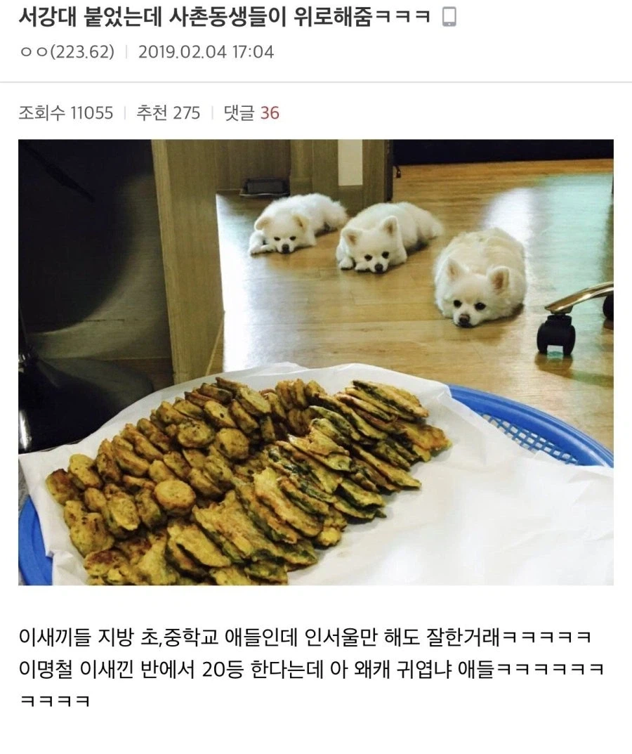 서강대 합격했는데 사촌동생들한테 위로받은 사람_1.webp
