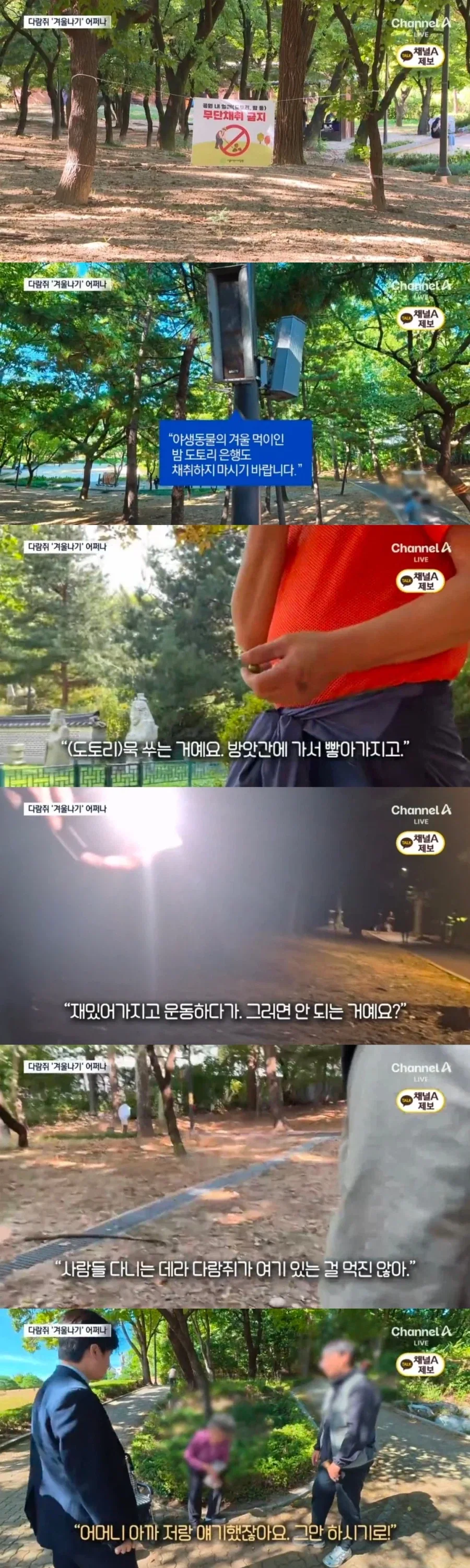 대공원 도토리 ‘싹쓸이’…“묵 쑤려고”_2.webp