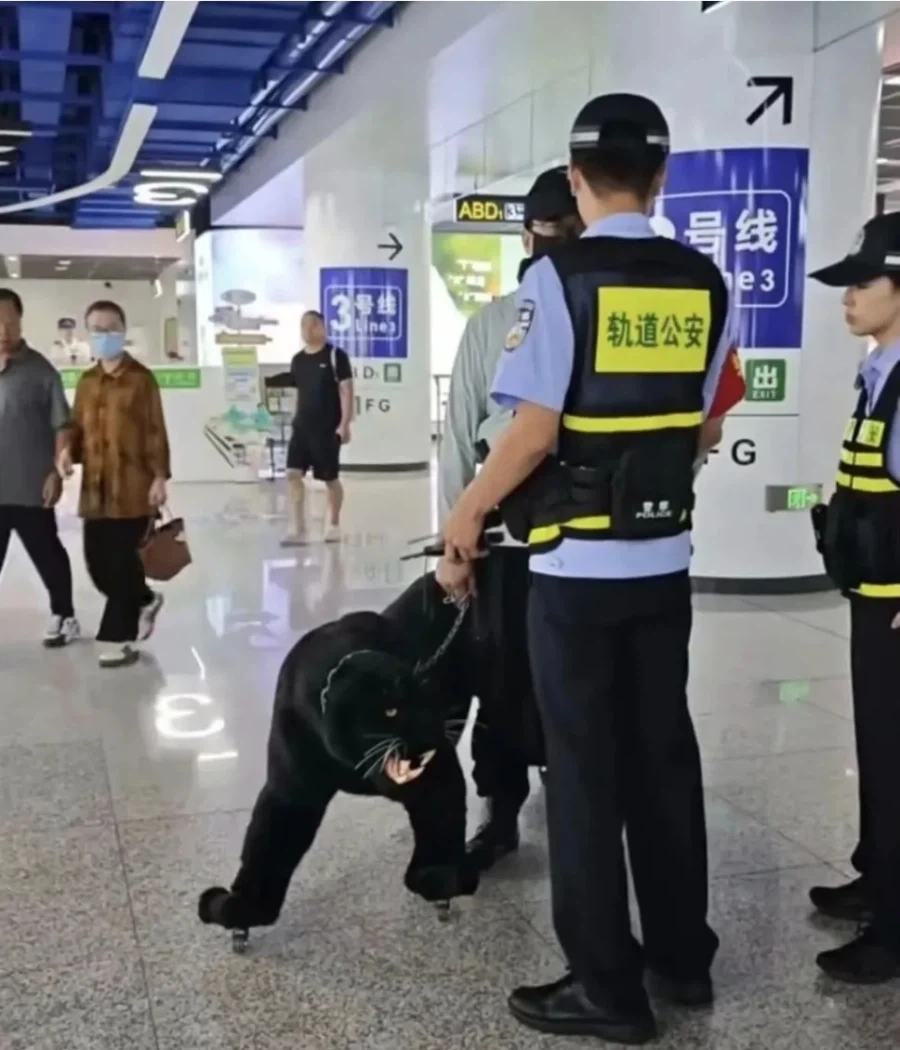 공안을 출동하게 만든 공항 관광객 캐리어.jpg_2.webp