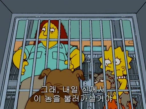 유기동물 보호센터 직원의 어두운 비밀_3.webp