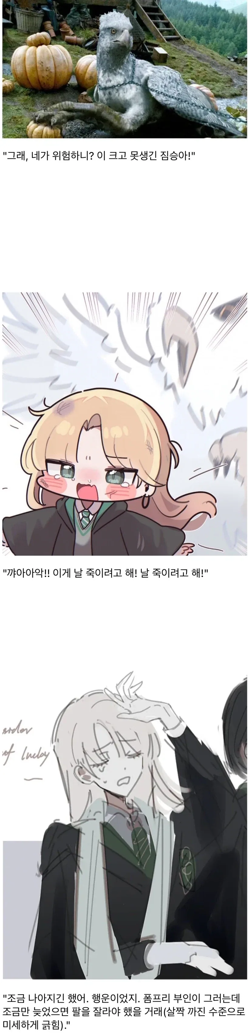 히포그리프 수업에 참석한 말포이_1.webp