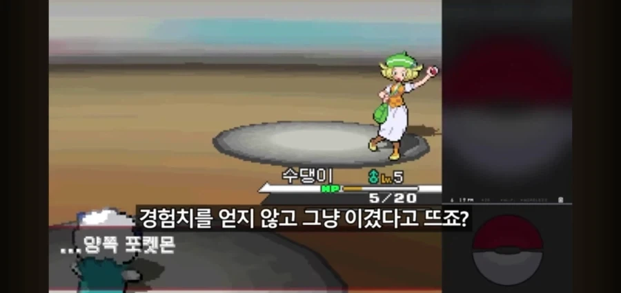 포켓몬스터를 레벨업 없이 깨보겠다는 유투버_3.webp