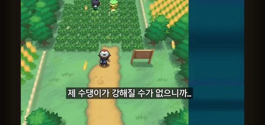 포켓몬스터를 레벨업 없이 깨보겠다는 유투버_6.webp