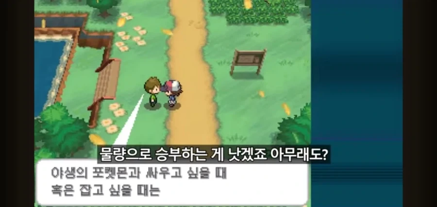 포켓몬스터를 레벨업 없이 깨보겠다는 유투버_7.webp