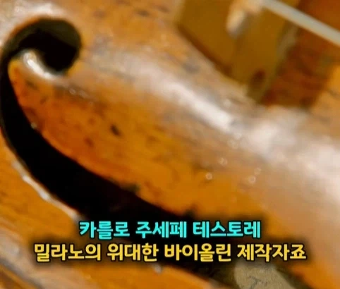 대출까지 받아 산 바이올린 1730년 테스토레의 감정가.jpg_8.webp
