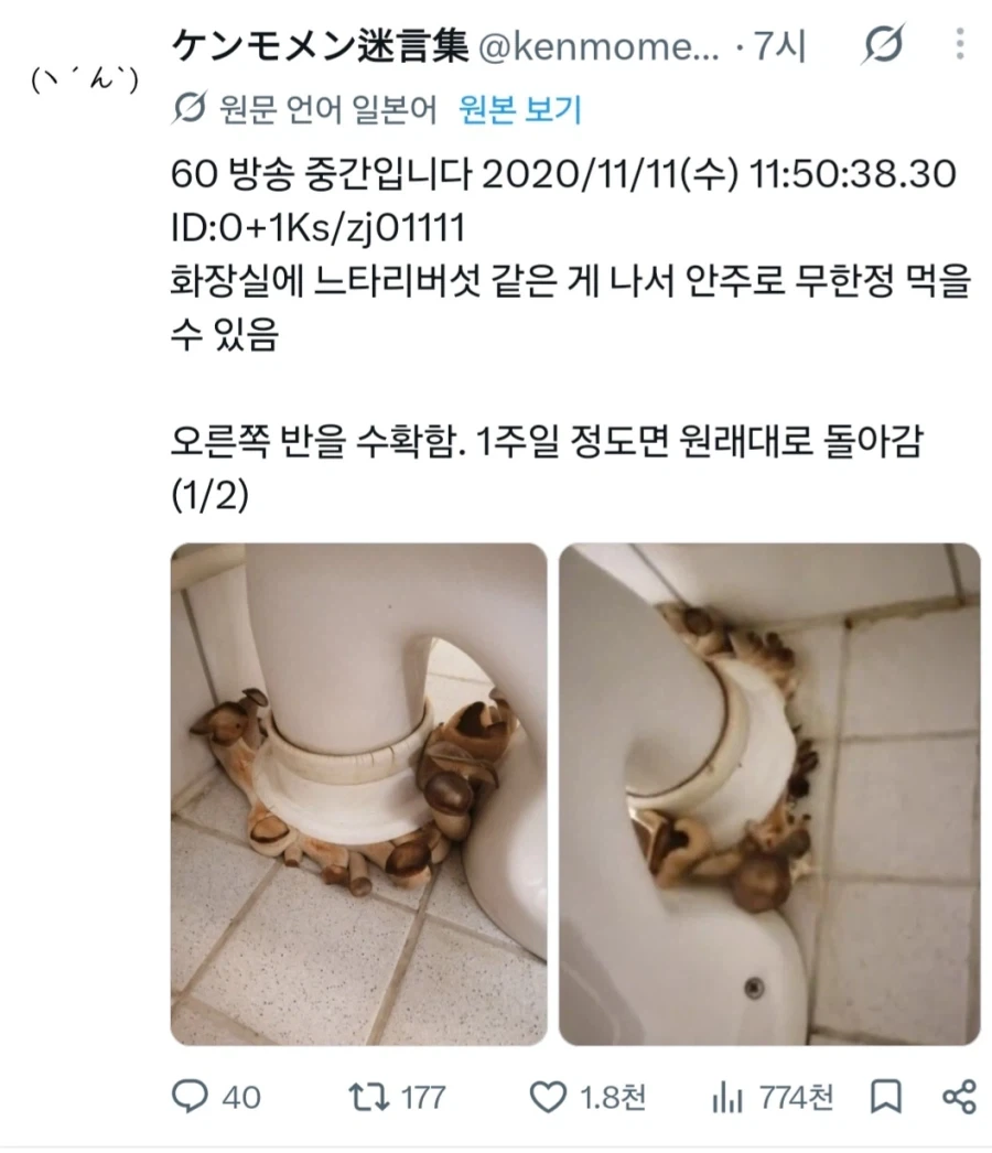 신개념 도시 농업_1.webp